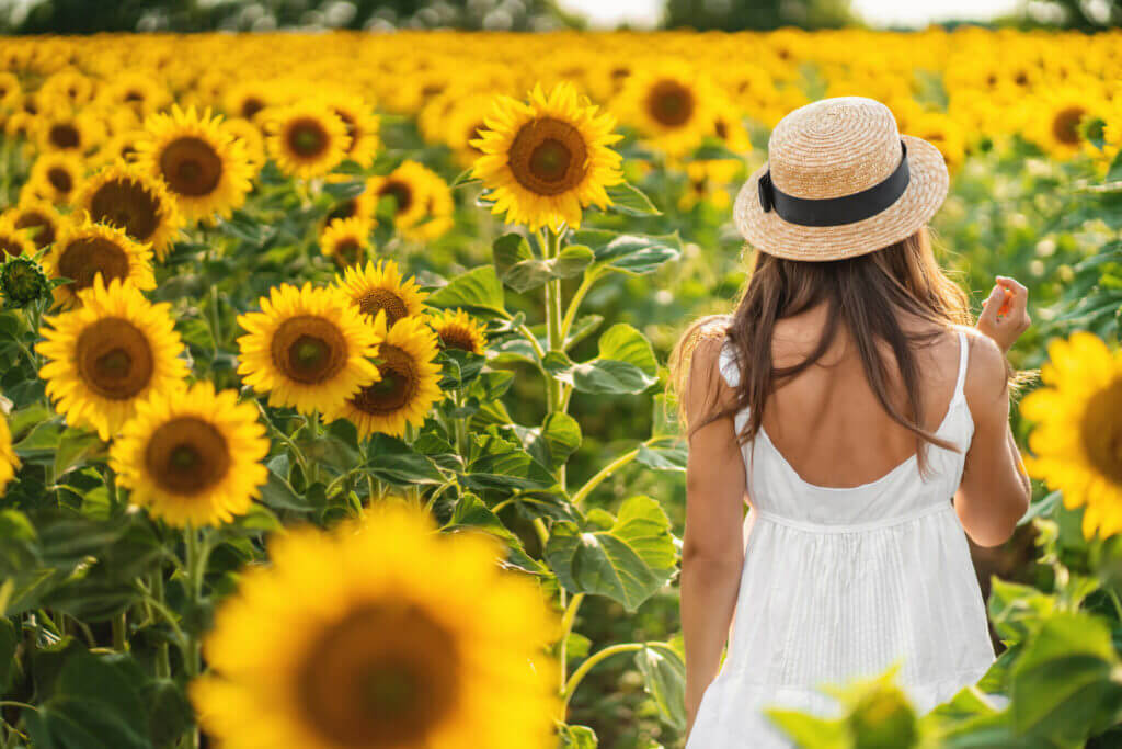 Young girl in a straw hat is standing in a large field of sunflowers with her back towards the camera.
