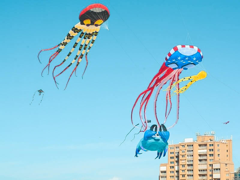 octopus kites at the treasure island kite festival